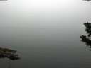 ./images/koeye/fitz-hugh/20190807/fitz-hugh20190807_084501.jpg