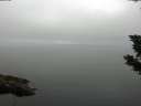 ./images/koeye/fitz-hugh/20190807/fitz-hugh20190807_095001.jpg