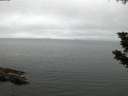 ./images/koeye/fitz-hugh/20190808/fitz-hugh20190808_054501.jpg