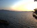 ./images/koeye/fitz-hugh/20190814/fitz-hugh20190814_212001.jpg