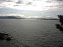 ./images/koeye/fitz-hugh/20190816/fitz-hugh20190816_165502.jpg