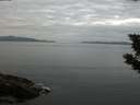 ./images/koeye/fitz-hugh/20190817/fitz-hugh20190817_065002.jpg