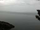 ./images/koeye/fitz-hugh/20190817/fitz-hugh20190817_081501.jpg