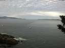 ./images/koeye/fitz-hugh/20190820/fitz-hugh20190820_085002.jpg