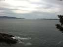 ./images/koeye/fitz-hugh/20190820/fitz-hugh20190820_122002.jpg