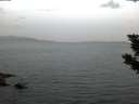 ./images/koeye/fitz-hugh/20190821/fitz-hugh20190821_062002.jpg
