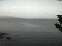 ./images/koeye/fitz-hugh/20190822/fitz-hugh20190822_054502.jpg
