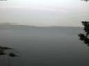./images/koeye/fitz-hugh/20190822/fitz-hugh20190822_061002.jpg