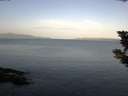 ./images/koeye/fitz-hugh/20190822/fitz-hugh20190822_075501.jpg