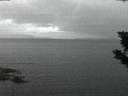 ./images/koeye/fitz-hugh/20190823/fitz-hugh20190823_055502.jpg