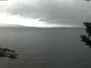./images/koeye/fitz-hugh/20190823/fitz-hugh20190823_060002.jpg