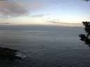 ./images/koeye/fitz-hugh/20190826/fitz-hugh20190826_074001.jpg