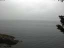./images/koeye/fitz-hugh/20190827/fitz-hugh20190827_075502.jpg