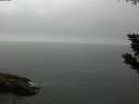 ./images/koeye/fitz-hugh/20190827/fitz-hugh20190827_081002.jpg