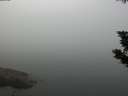 ./images/koeye/fitz-hugh/20190829/fitz-hugh20190829_095501.jpg