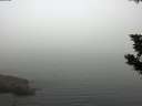 ./images/koeye/fitz-hugh/20190829/fitz-hugh20190829_102001.jpg