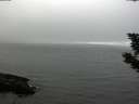 ./images/koeye/fitz-hugh/20190829/fitz-hugh20190829_165502.jpg