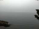 ./images/koeye/fitz-hugh/20190829/fitz-hugh20190829_204501.jpg