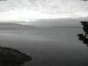 ./images/koeye/fitz-hugh/20190830/fitz-hugh20190830_060001.jpg