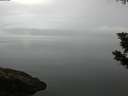 ./images/koeye/fitz-hugh/20190831/fitz-hugh20190831_071002.jpg