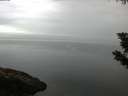 ./images/koeye/fitz-hugh/20190831/fitz-hugh20190831_072502.jpg