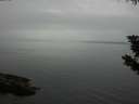 ./images/koeye/fitz-hugh/20190831/fitz-hugh20190831_111001.jpg