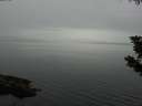 ./images/koeye/fitz-hugh/20190831/fitz-hugh20190831_111501.jpg