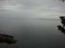 ./images/koeye/fitz-hugh/20190831/fitz-hugh20190831_112501.jpg