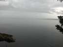 ./images/koeye/fitz-hugh/20190831/fitz-hugh20190831_113501.jpg