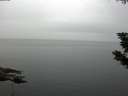 ./images/koeye/fitz-hugh/20190831/fitz-hugh20190831_121001.jpg