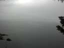 ./images/koeye/fitz-hugh/20190831/fitz-hugh20190831_122501.jpg