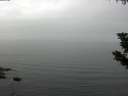 ./images/koeye/fitz-hugh/20190831/fitz-hugh20190831_123501.jpg