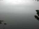 ./images/koeye/fitz-hugh/20190831/fitz-hugh20190831_124001.jpg