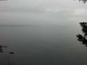 ./images/koeye/fitz-hugh/20190831/fitz-hugh20190831_125502.jpg