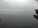./images/koeye/fitz-hugh/20190831/fitz-hugh20190831_130501.jpg
