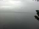 ./images/koeye/fitz-hugh/20190831/fitz-hugh20190831_152001.jpg