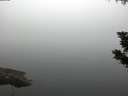 ./images/koeye/fitz-hugh/20190902/fitz-hugh20190902_064501.jpg