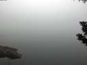 ./images/koeye/fitz-hugh/20190902/fitz-hugh20190902_065001.jpg