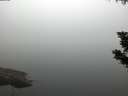 ./images/koeye/fitz-hugh/20190902/fitz-hugh20190902_065501.jpg