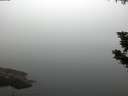 ./images/koeye/fitz-hugh/20190902/fitz-hugh20190902_070501.jpg
