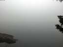./images/koeye/fitz-hugh/20190902/fitz-hugh20190902_071001.jpg