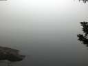 ./images/koeye/fitz-hugh/20190902/fitz-hugh20190902_071501.jpg