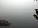 ./images/koeye/fitz-hugh/20190902/fitz-hugh20190902_072001.jpg