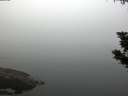 ./images/koeye/fitz-hugh/20190902/fitz-hugh20190902_073501.jpg