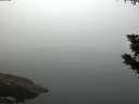 ./images/koeye/fitz-hugh/20190902/fitz-hugh20190902_074501.jpg