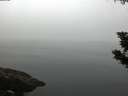 ./images/koeye/fitz-hugh/20190902/fitz-hugh20190902_080001.jpg