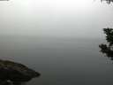 ./images/koeye/fitz-hugh/20190902/fitz-hugh20190902_080501.jpg