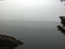 ./images/koeye/fitz-hugh/20190902/fitz-hugh20190902_081501.jpg