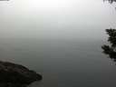./images/koeye/fitz-hugh/20190902/fitz-hugh20190902_084502.jpg