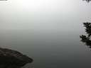 ./images/koeye/fitz-hugh/20190902/fitz-hugh20190902_104501.jpg